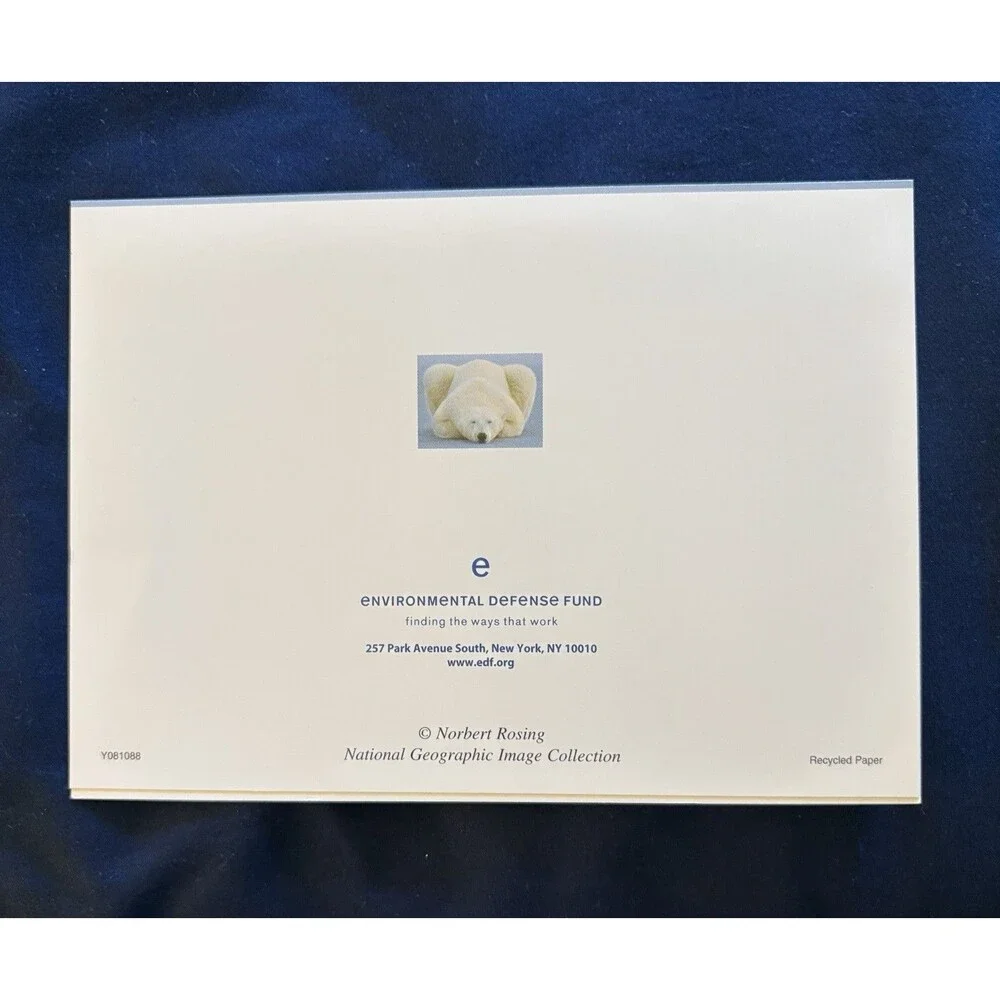 Generic Card with White Envelope and Blank Interior | Polar Bear design by EDF